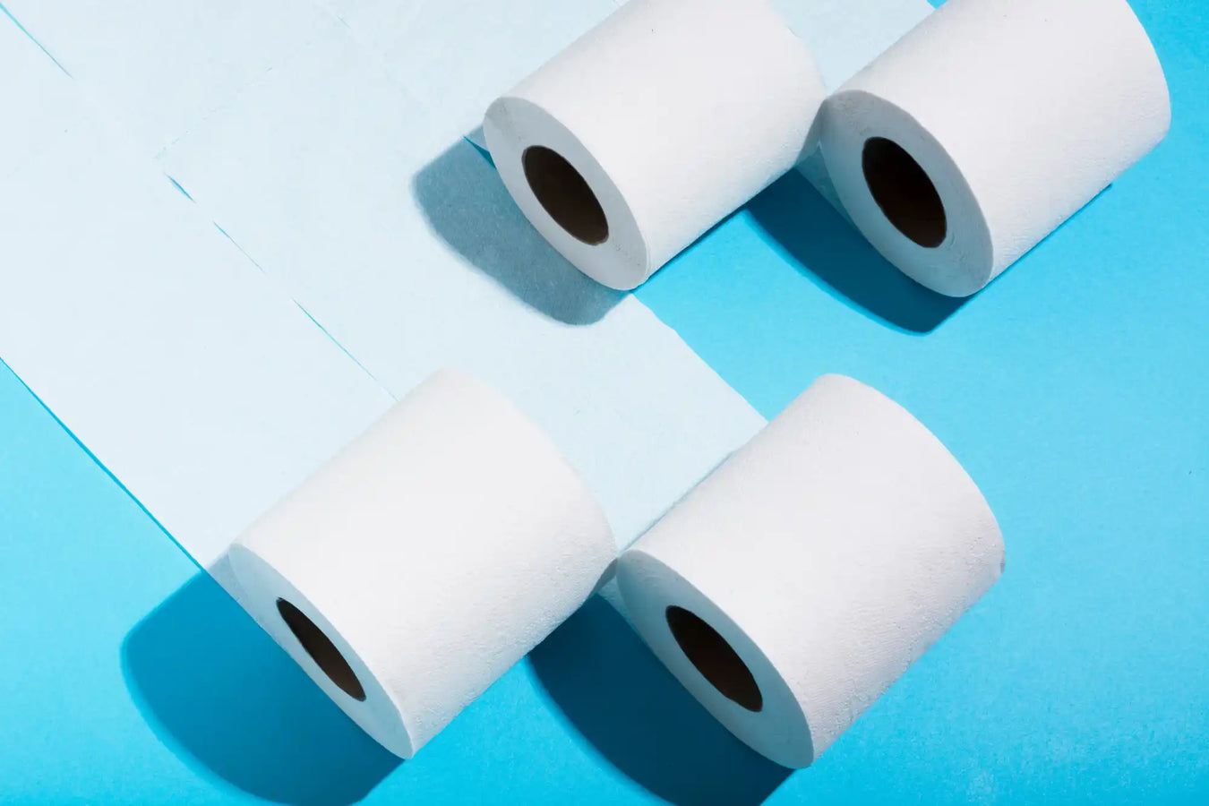 Four white toilet paper rolls casting shadows.